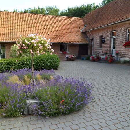 Gîte de la Noyelle à Sainghin en Mélantois Esterno foto