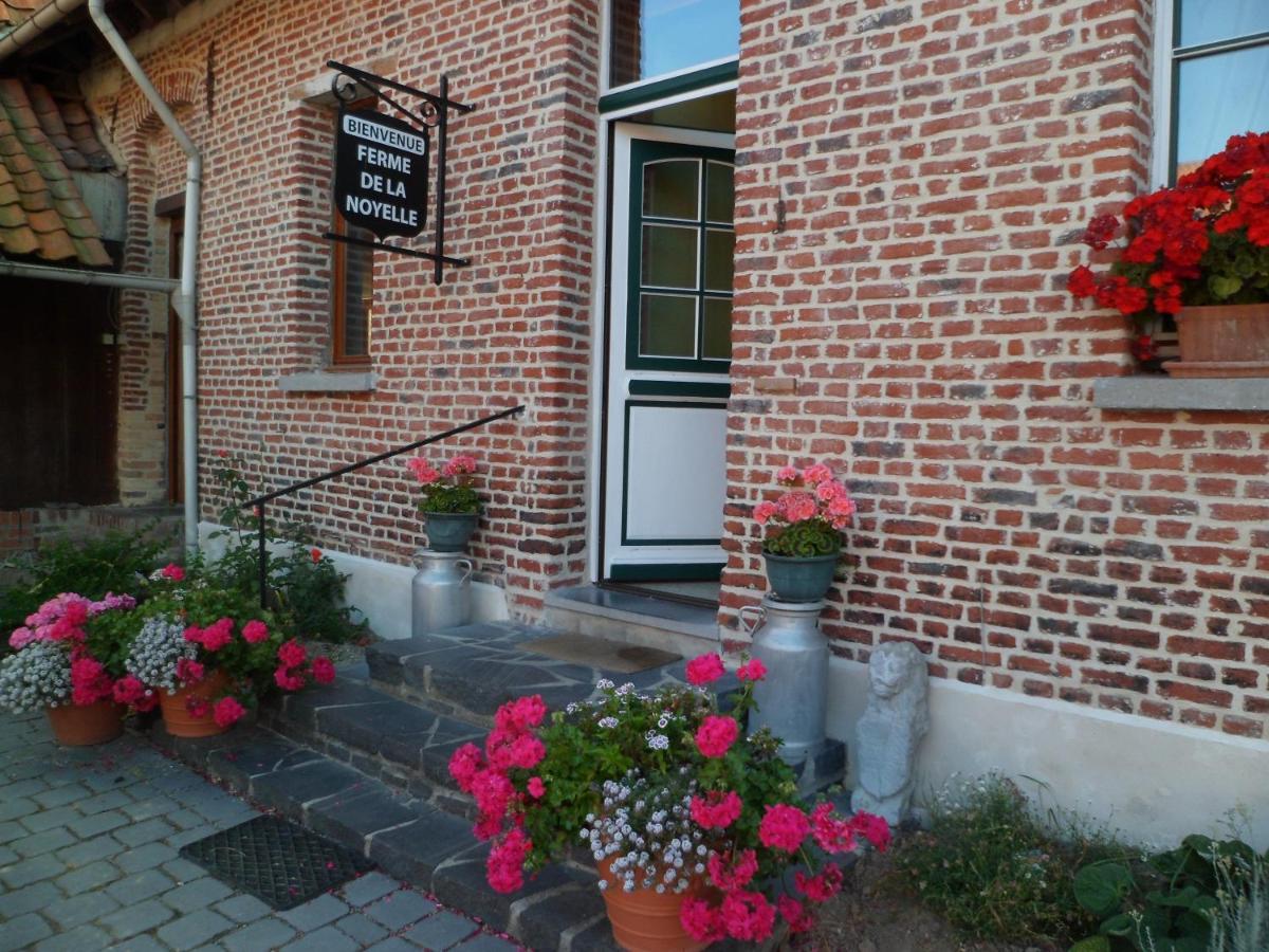 Gîte de la Noyelle à Sainghin en Mélantois Esterno foto