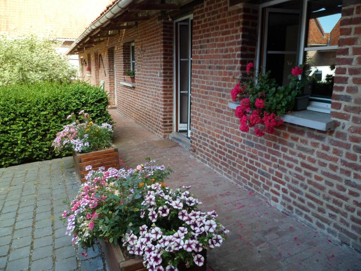 Gîte de la Noyelle à Sainghin en Mélantois Esterno foto