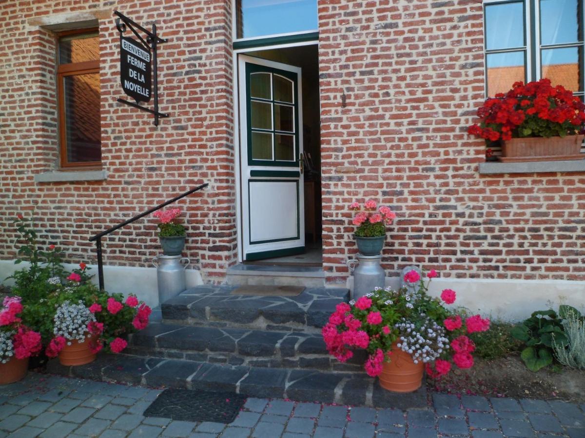 Gîte de la Noyelle à Sainghin en Mélantois Esterno foto