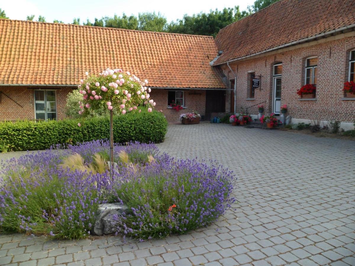 Gîte de la Noyelle à Sainghin en Mélantois Esterno foto